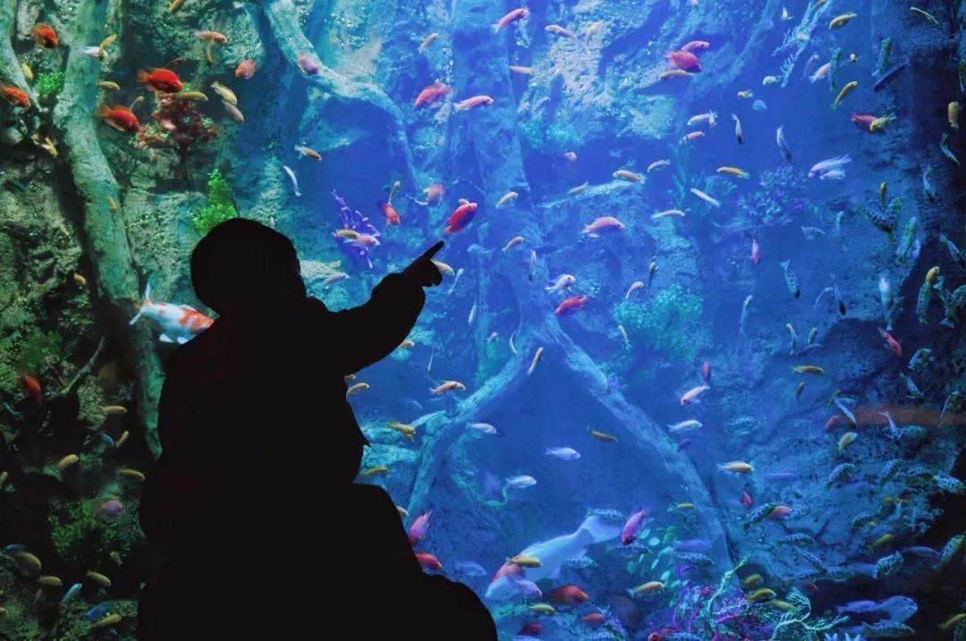 浪漫树屋、奇妙酒店、恒温水乐园...去江浙沪Top酒店跨个30℃的年