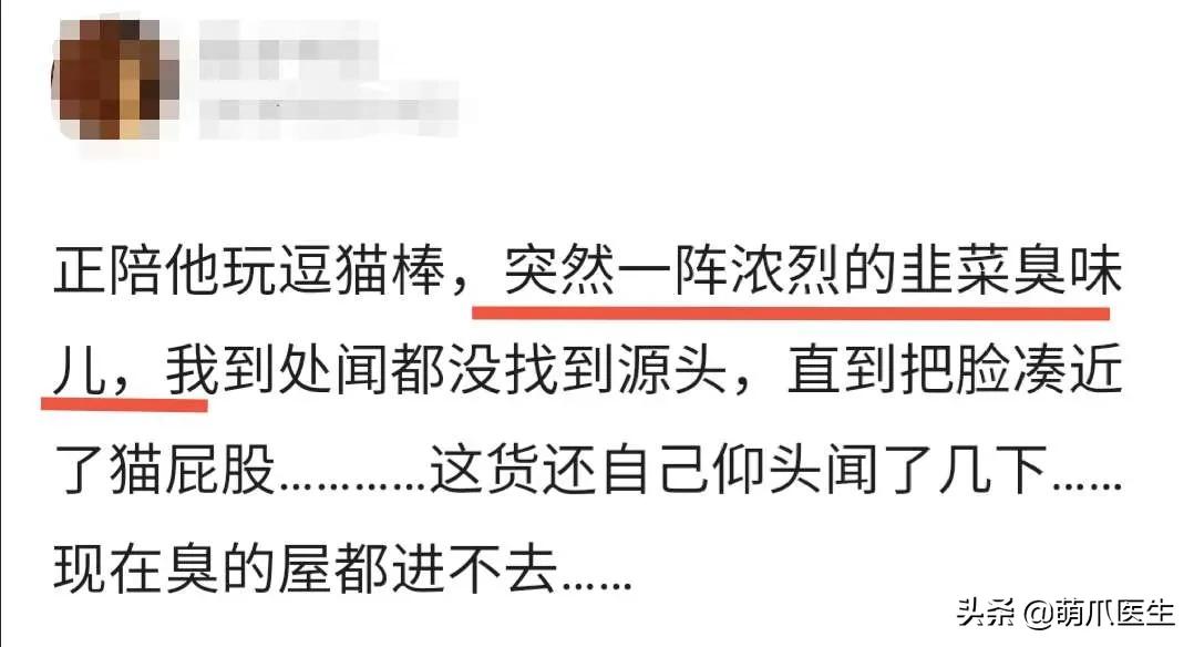 猫放屁把自己臭吐了,猫居然也会吐口水