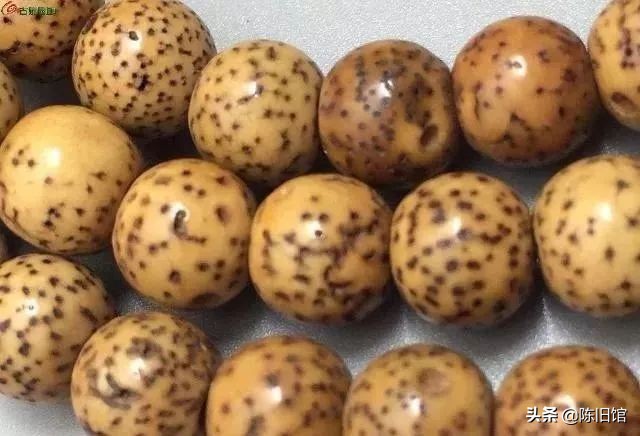 星月菩提怎么盘玩更亮更容易上色,鸡油黄星月菩提为什么盘了不变色