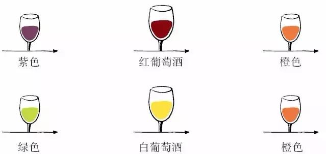 启智说说|“人人都该知道的葡萄酒基础知识”分享