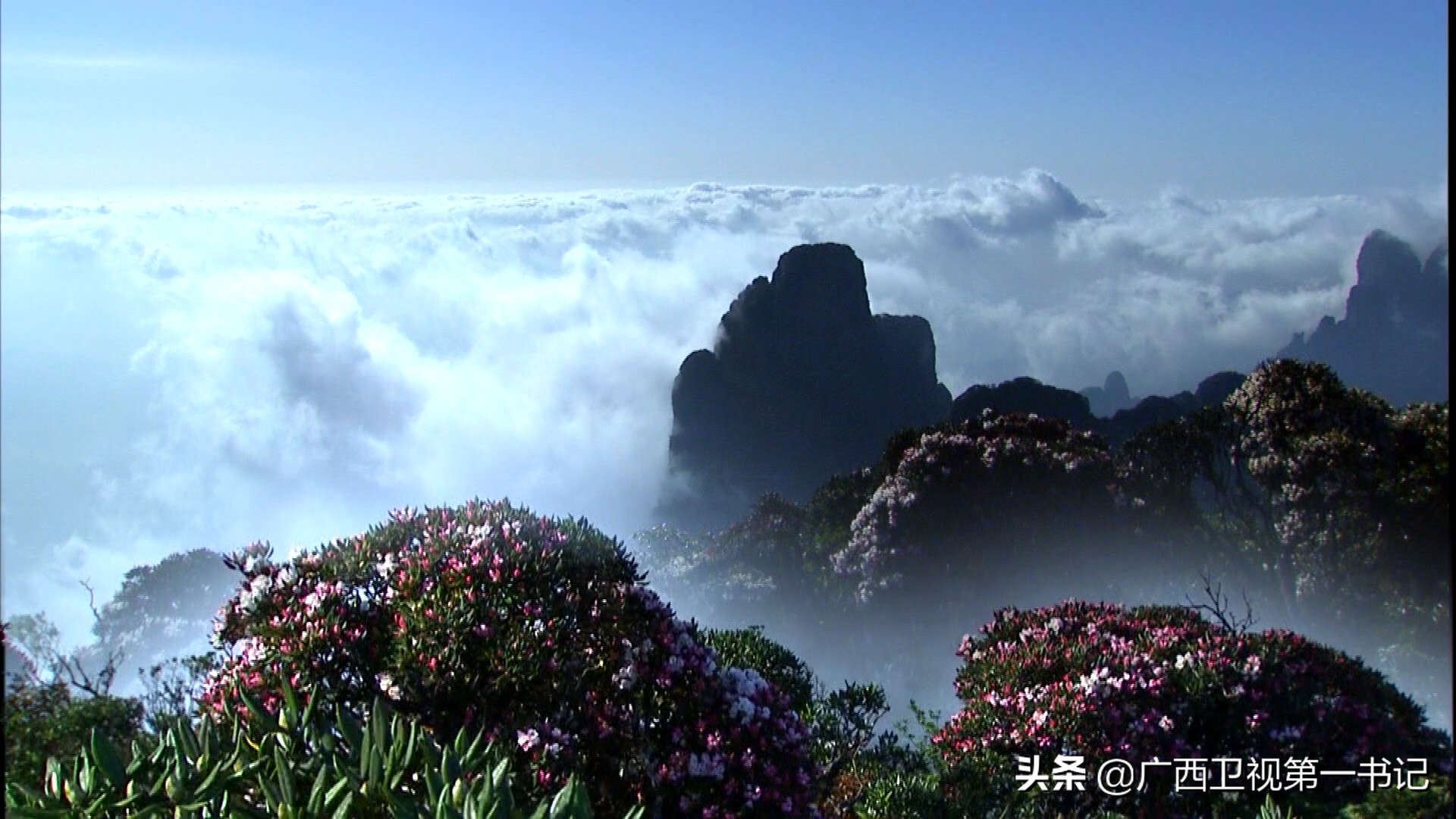 盘瑶山,盘瑶瑶族姑娘