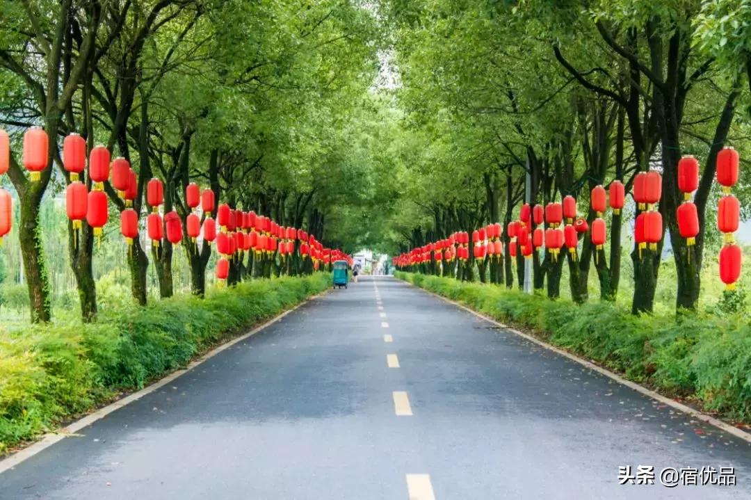 浙江游玩攻略大全推荐,浙江苍南旅游景点攻略