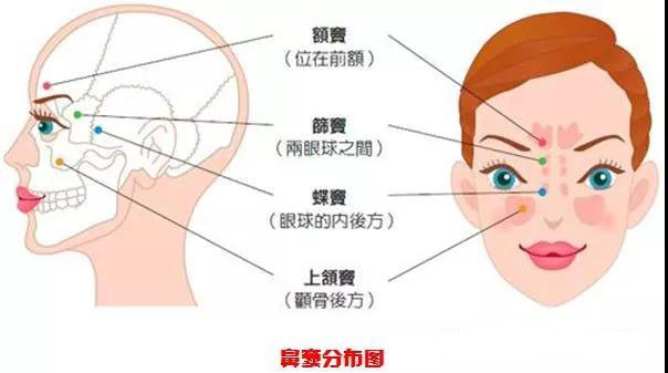 儿童鼻窦炎与鼻炎的区别,鼻炎和鼻窦炎的区别是什么呀