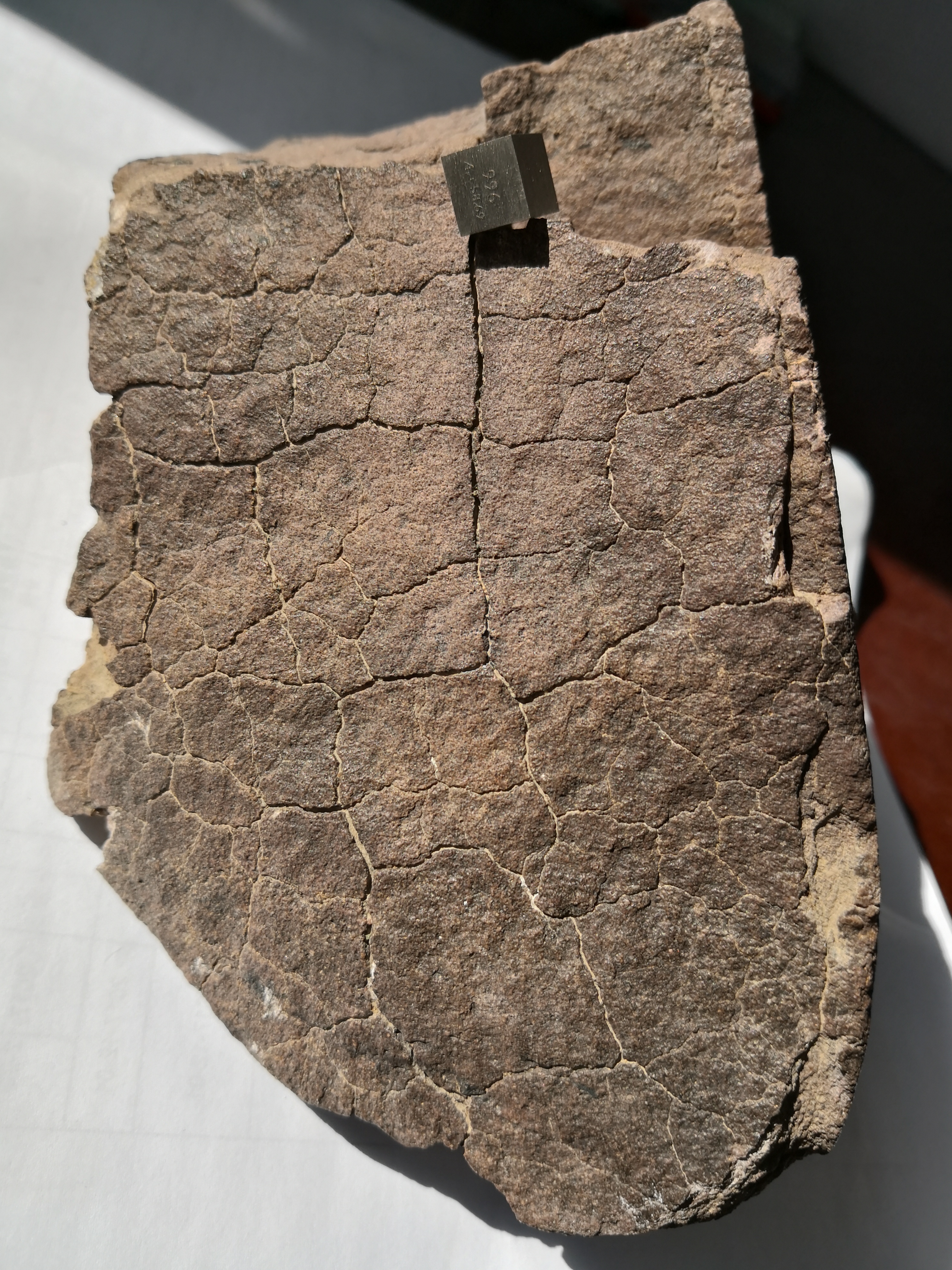 陨石是什么形状的,陨石切面怎样辨别是不是陨石