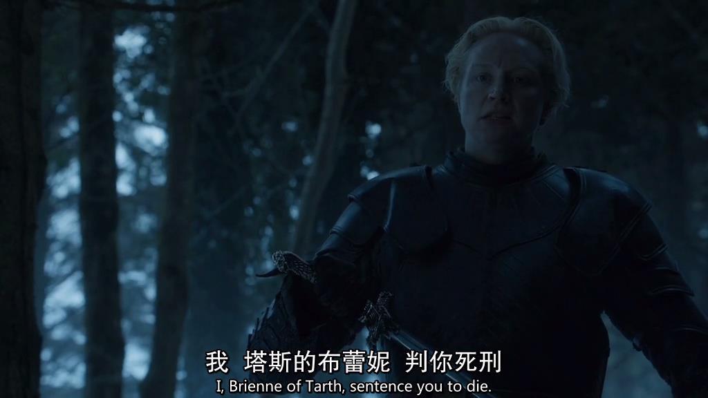 《权力的游戏:版图战略版》,权力的游戏凛冬将至王国争霸