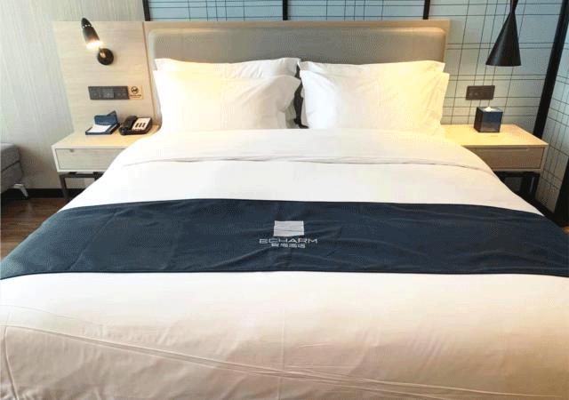 东呈酒店新品,东呈国际酒店发展中心