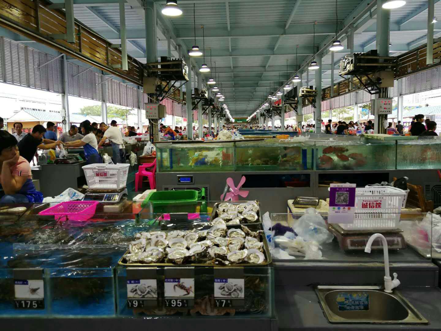 海南五日游之旅之海口,一起去海南玩的地方