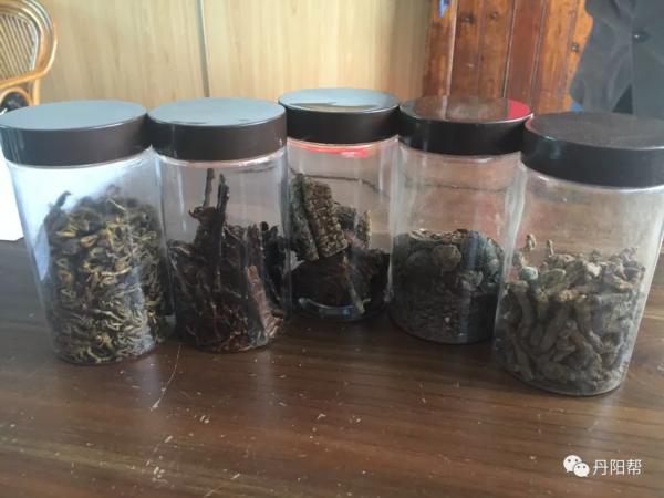 国家级非物质文化膏药,非遗膏药的历史价值