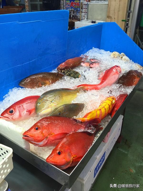 暑假带孩子去国外玩,寒假带孩子出国去哪里玩合适一些