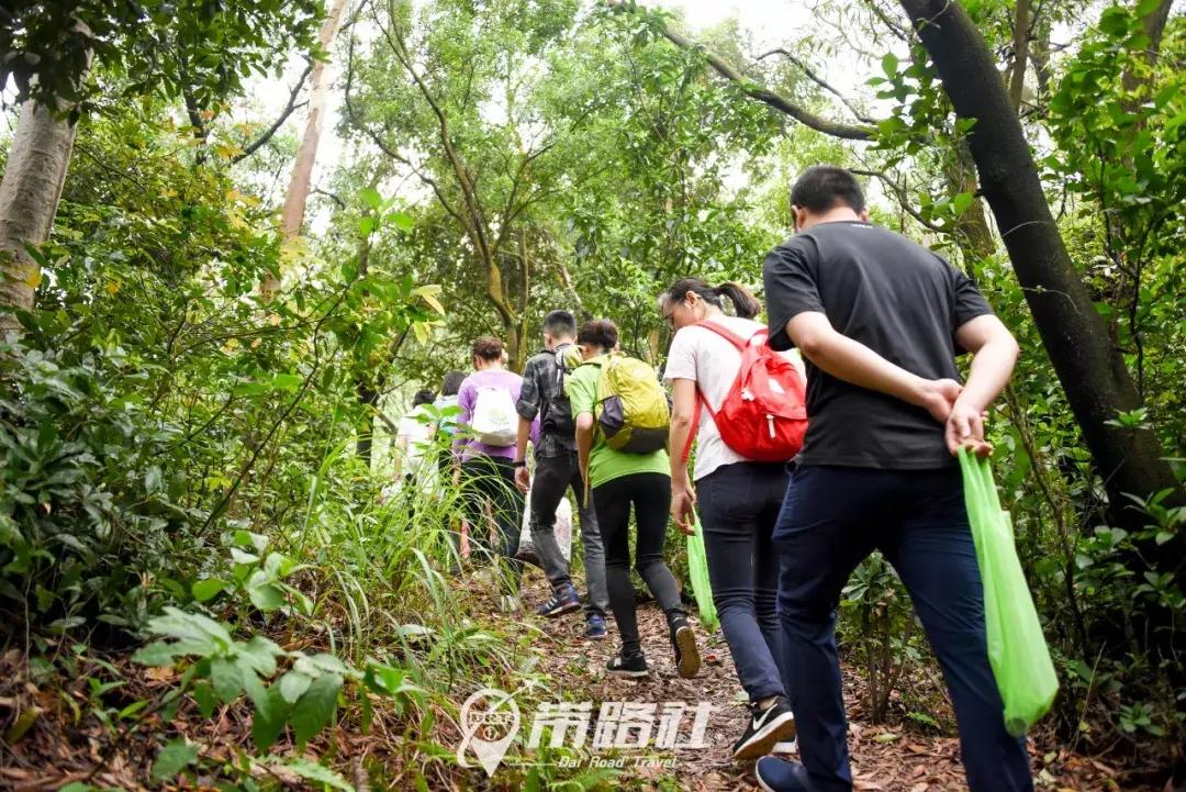 绿色环保行动实践活动总结,用行动践行绿色环保理念