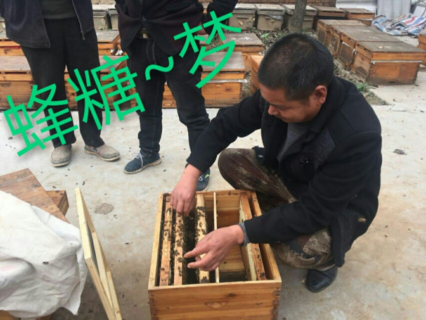 随身携带小罐蜂蜜现吃,小罐土蜂蜜