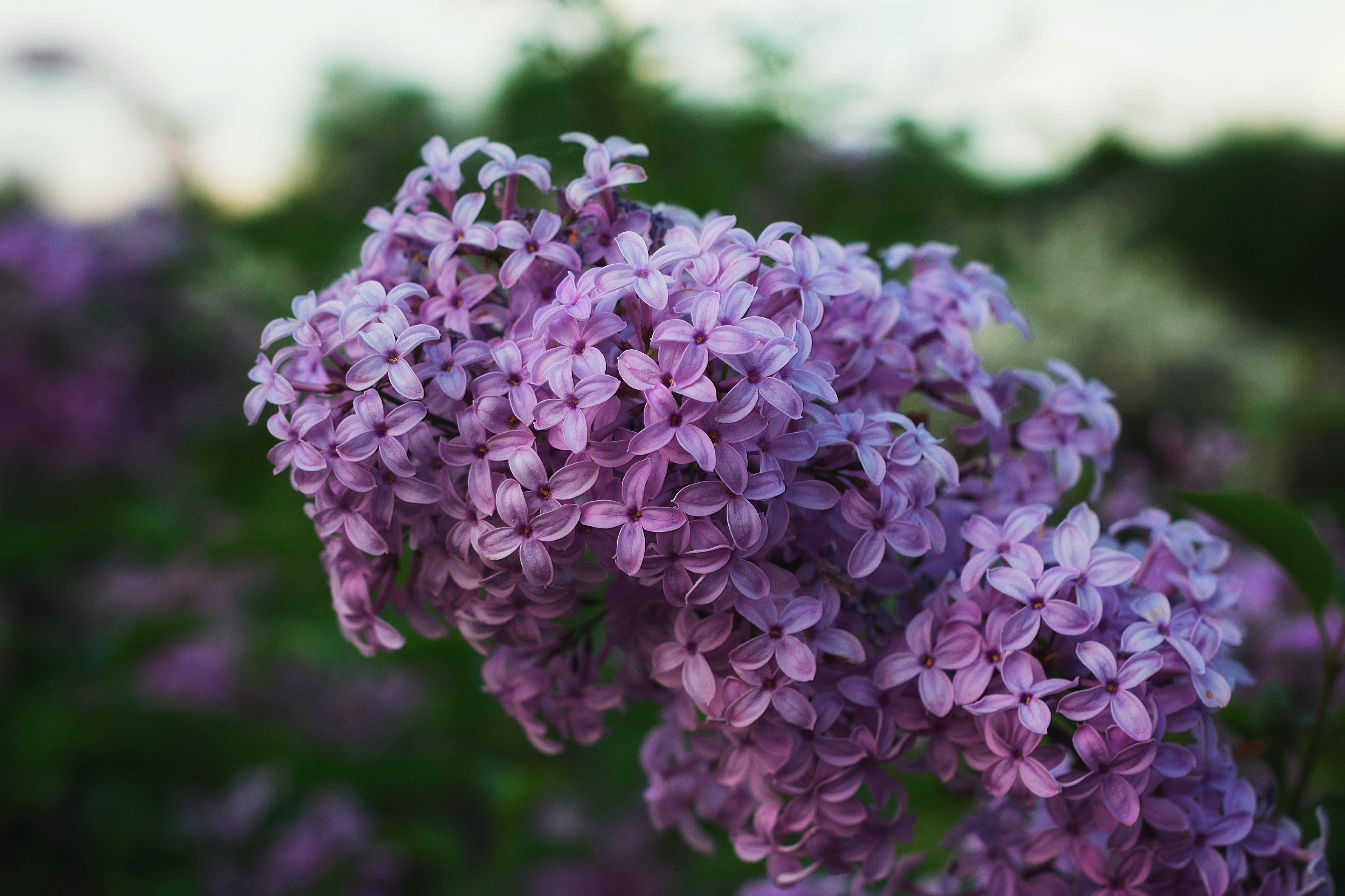 爱情信物有什么,以物传情134种爱情信物的意义