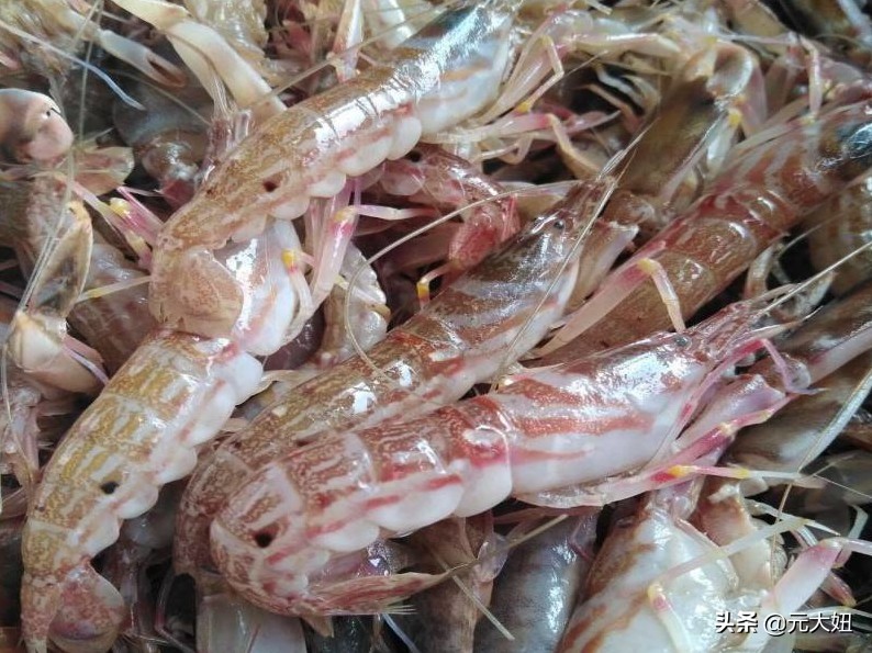 不要错过海鲜季节表,一年四季海鲜时间表