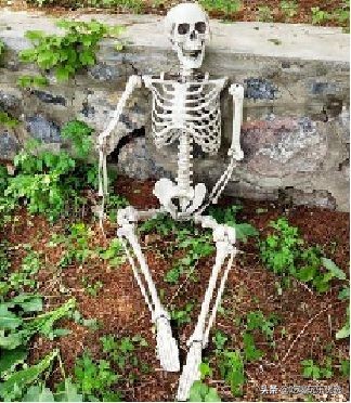 苏州四季悦室内温泉水乐园,万圣“捣蛋水球大战”、精灵汤池…