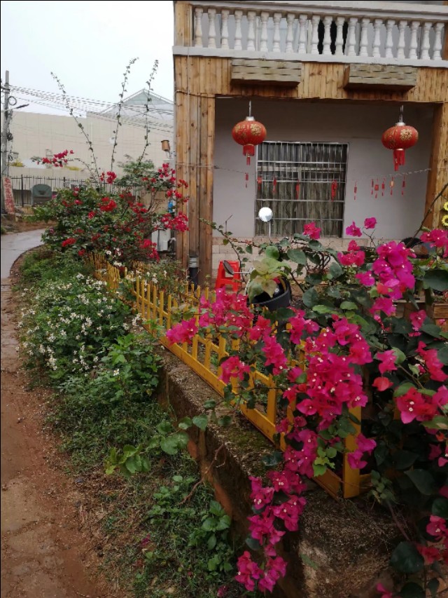 热带雨林中的蓬莱,热带岛屿游玩攻略