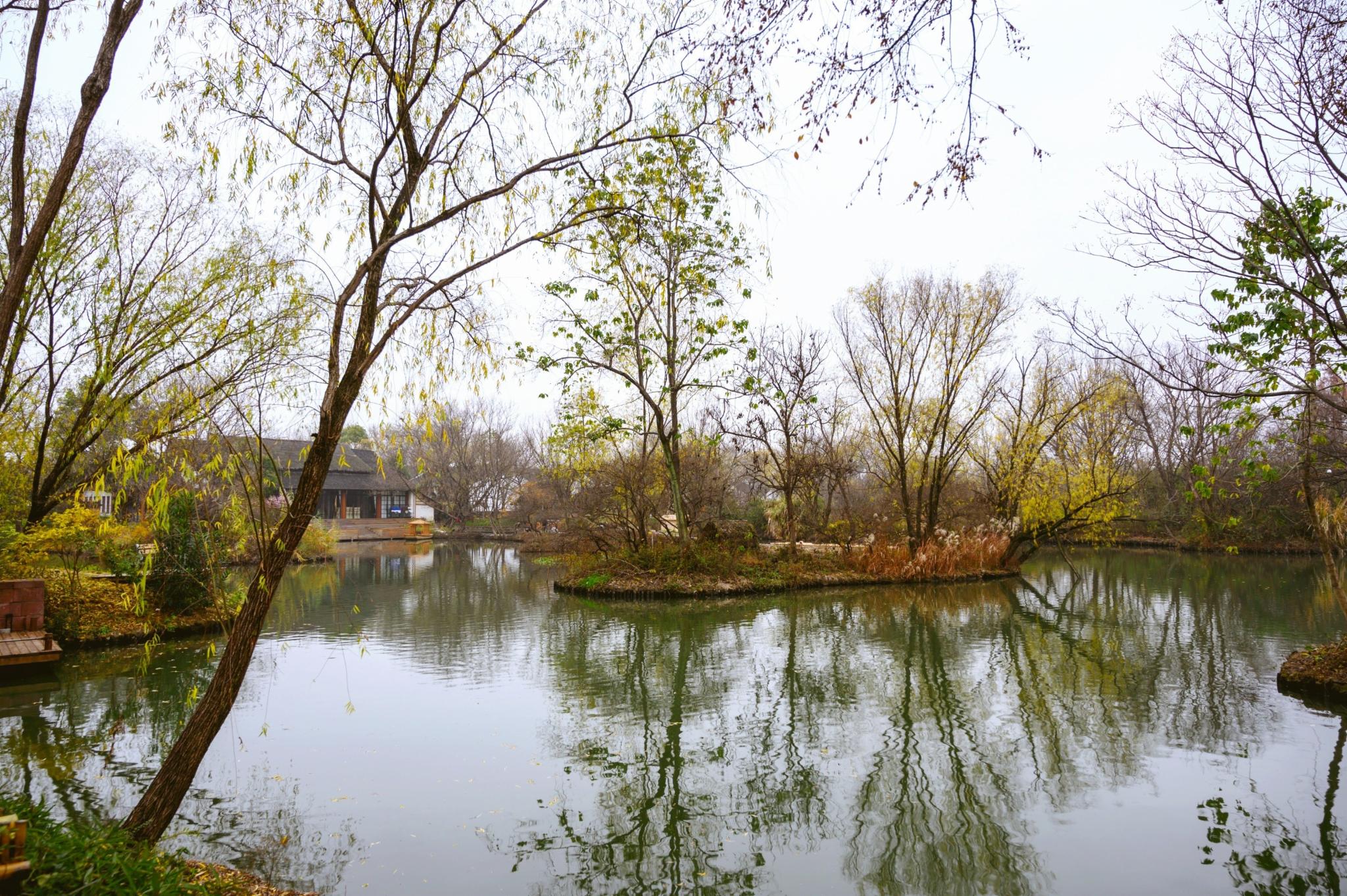 被誉为“杭州之肾”的西溪湿地值得去吗？网友：景色比西湖还美