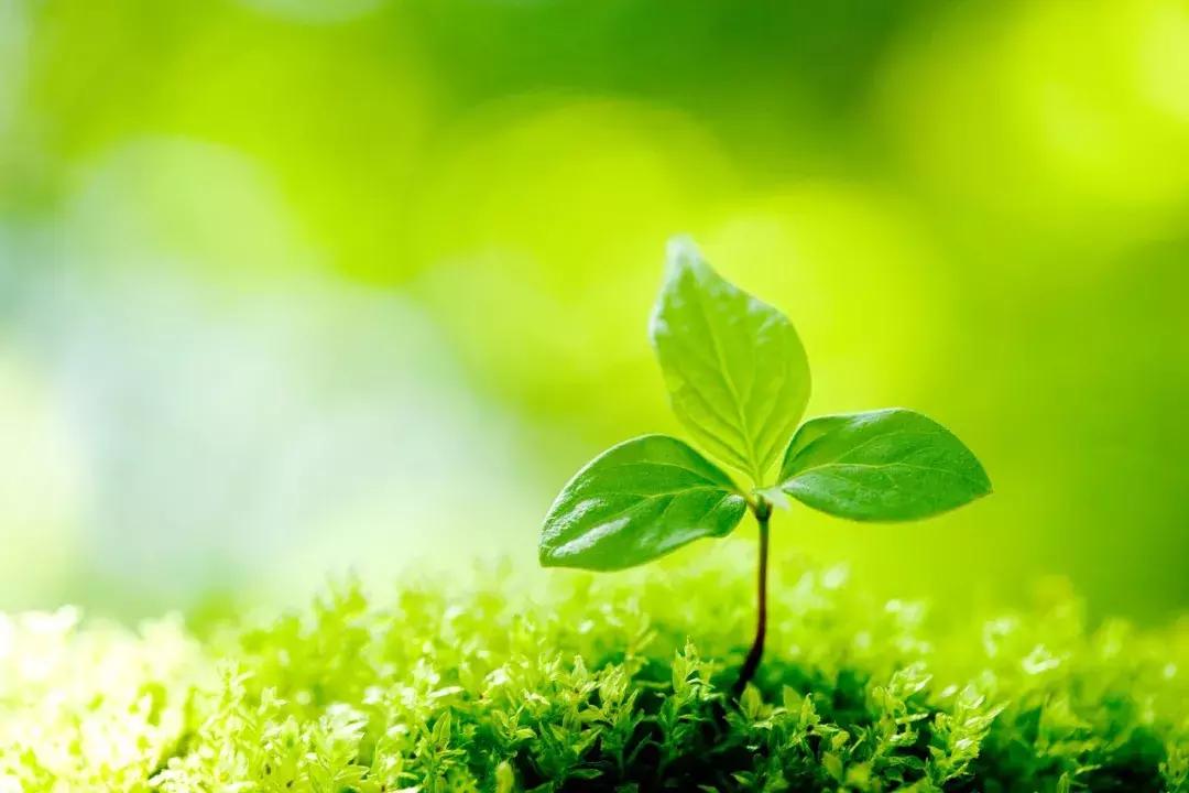 【荐读】100个一看就会一读就错的字，不信你念念