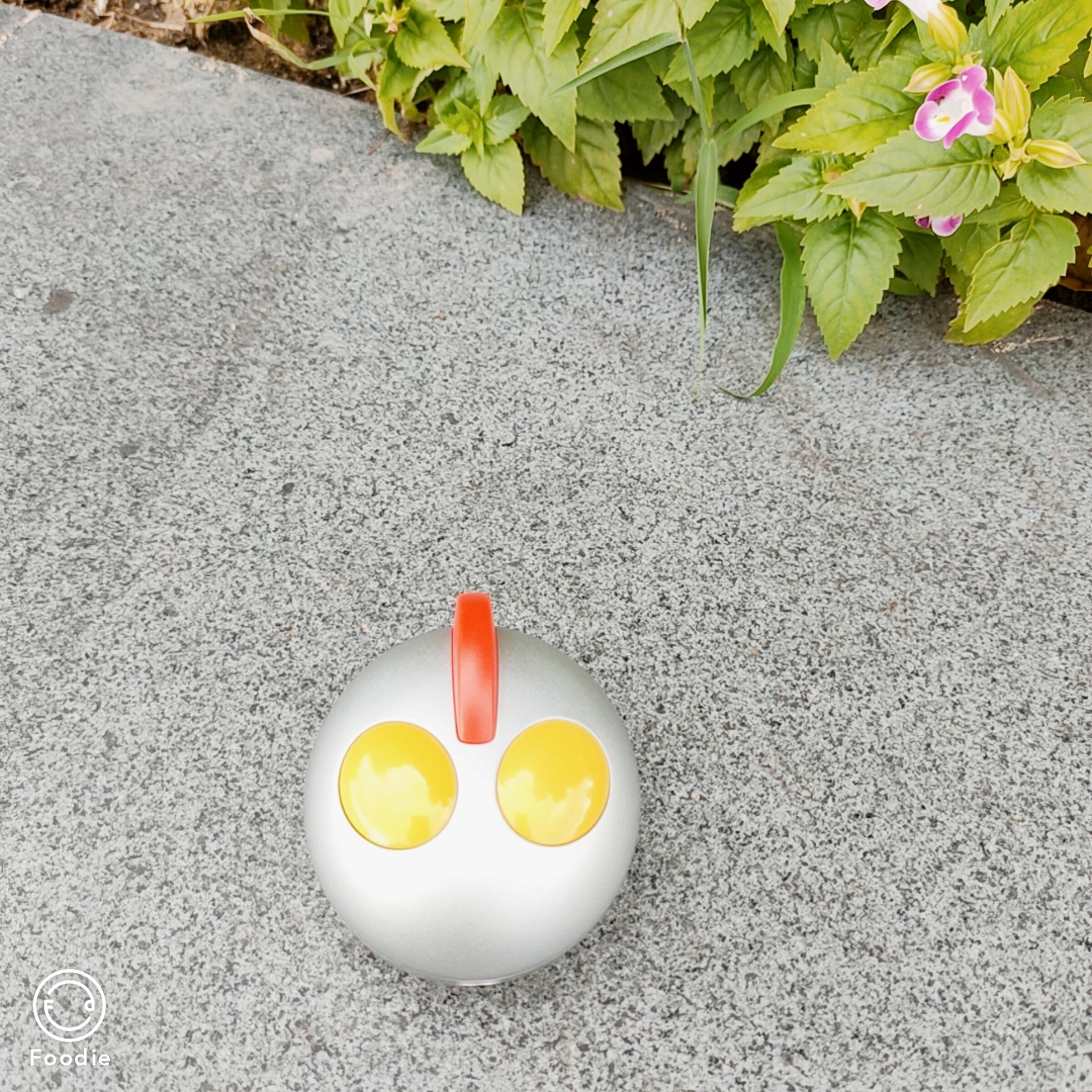 小浣熊儿童声波电动牙刷测评,宠物电动牙刷好不好