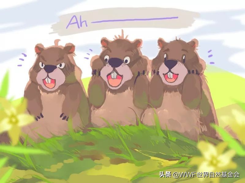 如何正确的品味一首歌,如何品味咖啡更美味