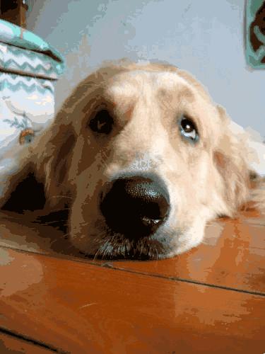 大姨妈来妇科炎症会减轻吗,来完大姨妈妇科炎症