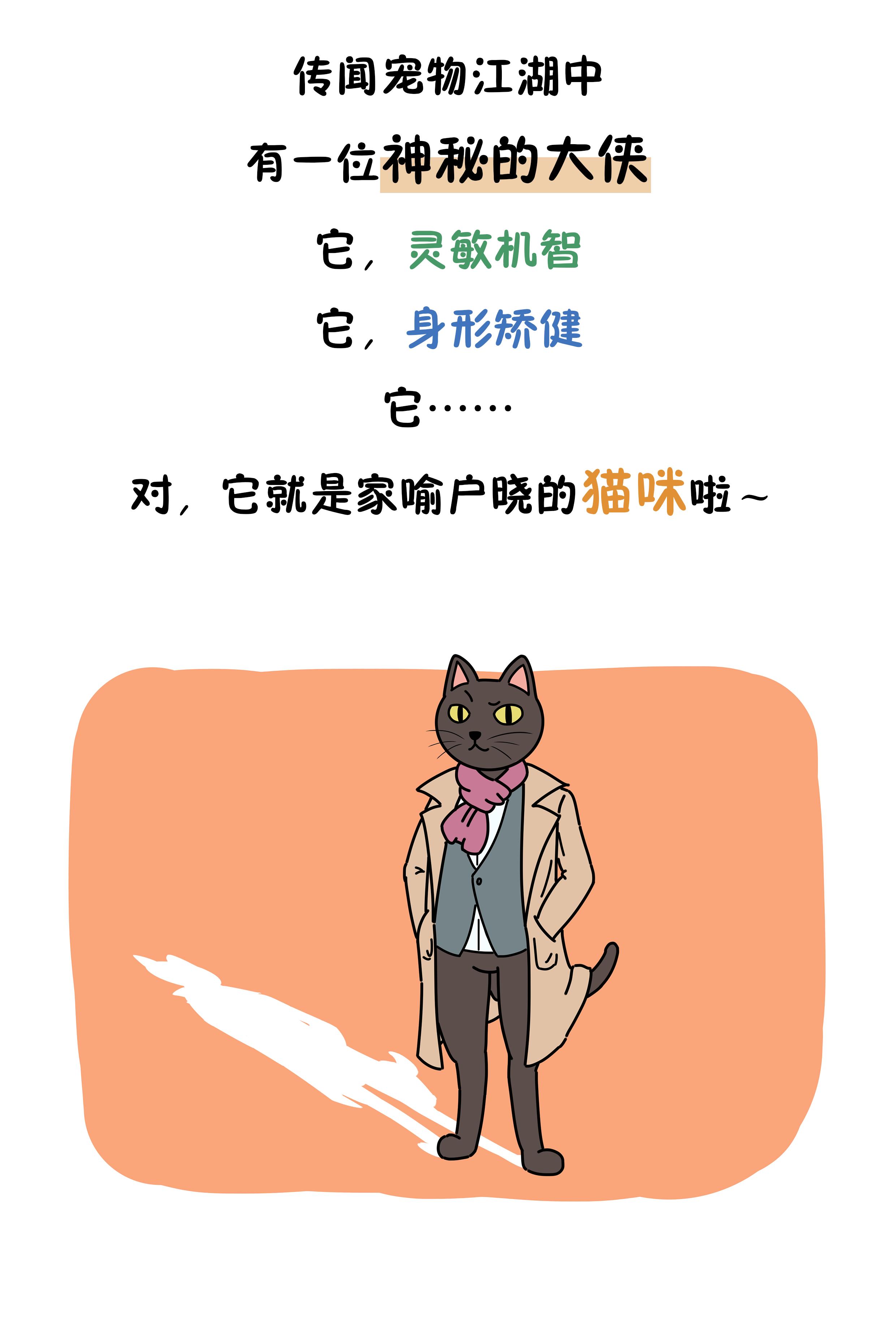 把猫咪的胡须拔掉还能找出来吗 (猫咪的胡须能探测多远的距离)