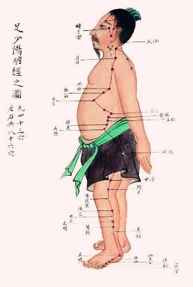 脂肪肝疏肝利胆药,胆结石脂肪肝寒湿怎么调理