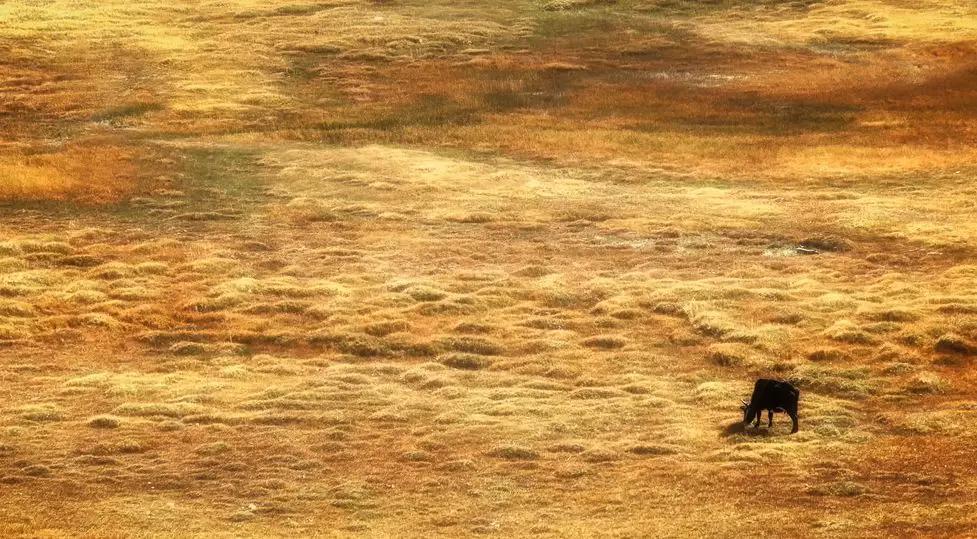 南疆喀什值得去吗,新疆之旅第三站喀什