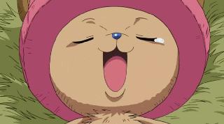 海贼王中的所有自然系恶魔果实,海贼王已经出现的动物系恶魔果实