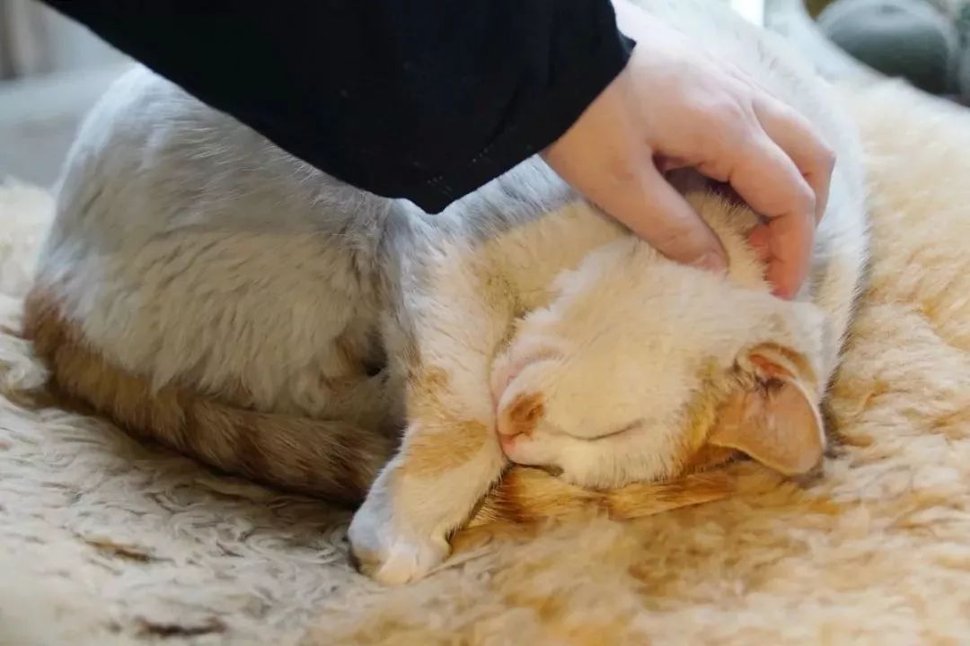 无锡十大精品店,无锡一家有逼格的店