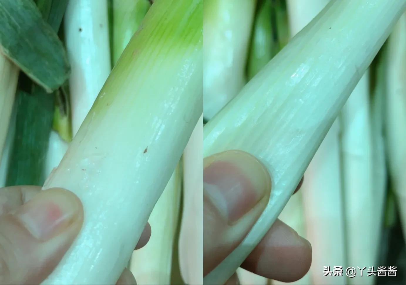 挑选大葱的正确方法视频,大葱怎么挑选甜的