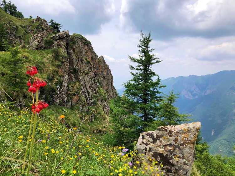 小五台山景区游玩攻略,小五台山快乐一日游
