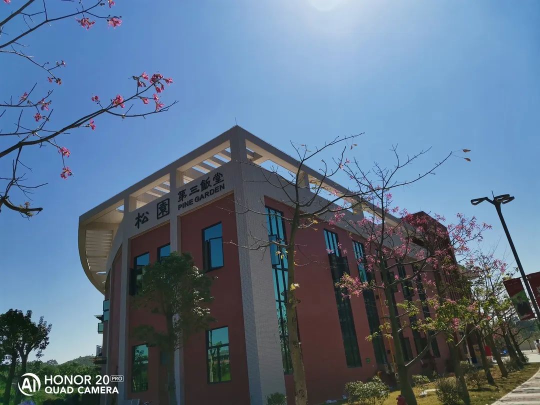 广东这所大学有广州、清远两校区。虽然是民办，但是环境超美