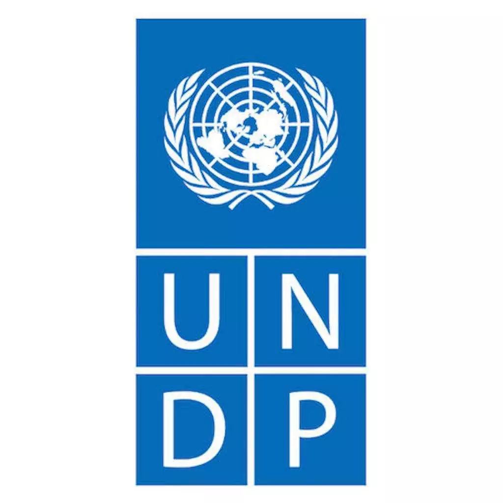 世界组织旗帜大全,国际组织的标志大全