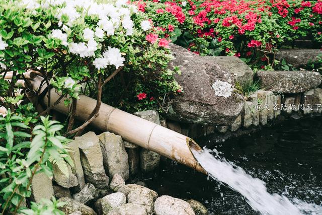 去日本镰仓旅游有好的攻略,日本镰仓一日游全攻略