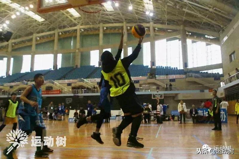 中国篮球名宿走进学校,中国篮球名宿26分