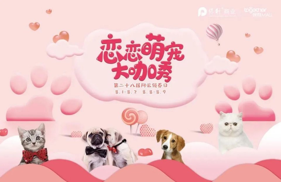 保利MALL 阿派领养日！有只萌宠在call你…