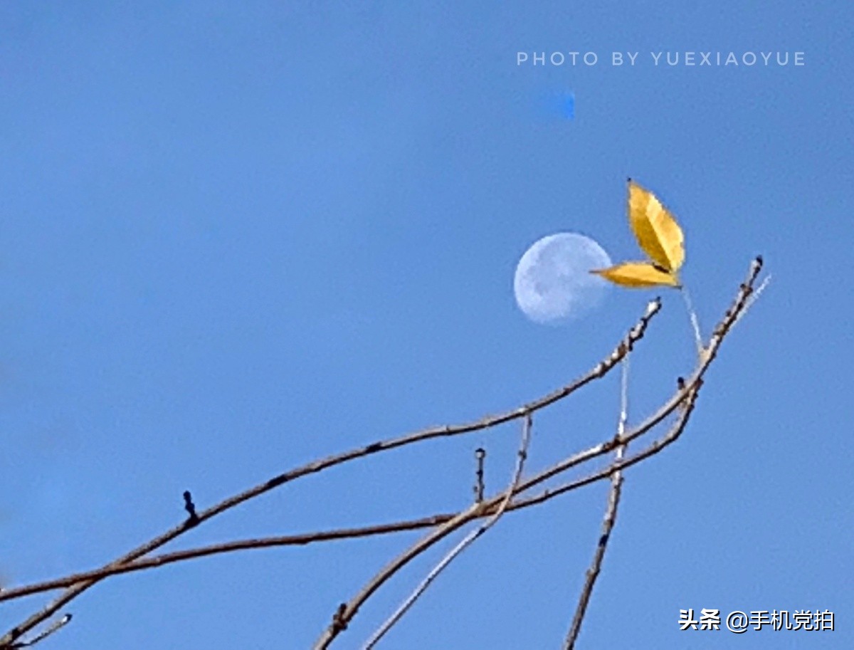 手机摄影中的变焦,手机摄影有广角吗