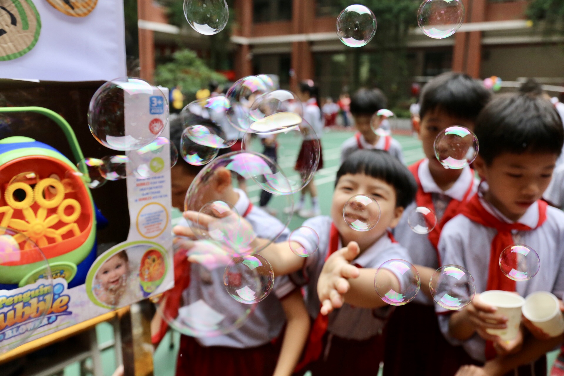 缇庡湪闈掓槬骞村崕,缇庡湪闈掓槬骞村皯