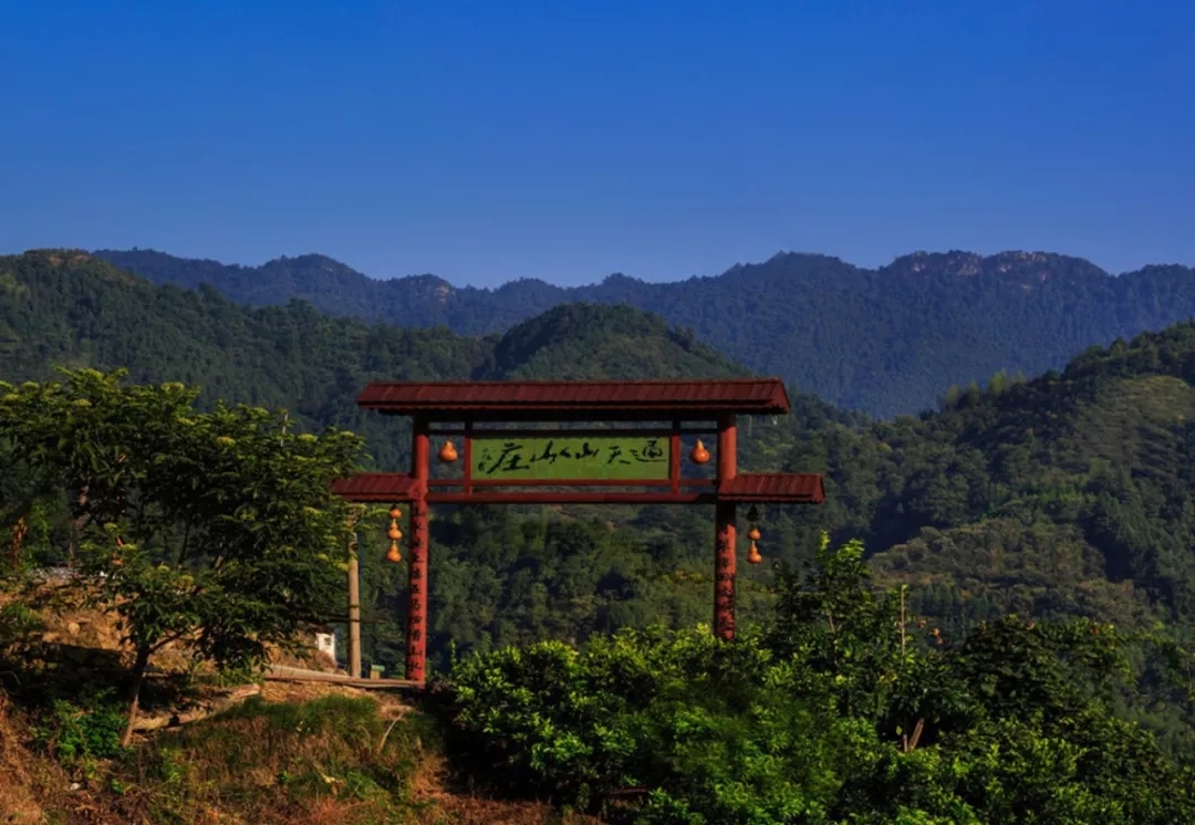 东江湖口碑最好民宿,东江湖景区民宿十大排名