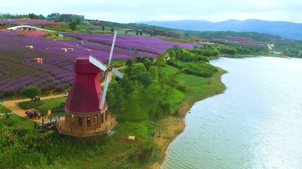 什么是弥勒教,什么是弥勒尊佛