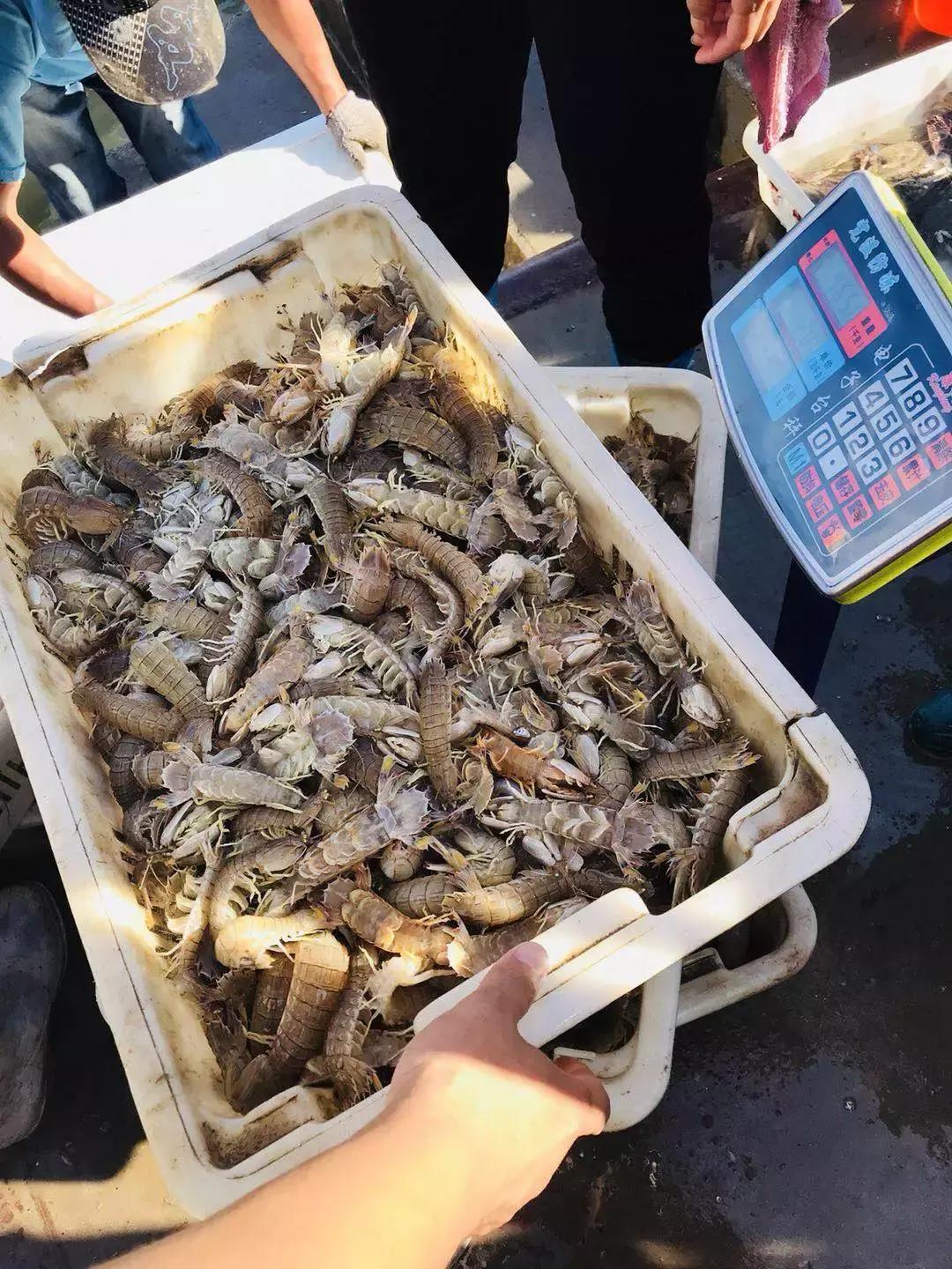 威海海鲜开海期,威海开海海鲜便宜还是贵