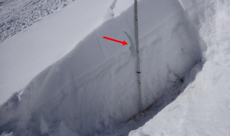 512防灾减灾的知识,512防震减灾日小知识