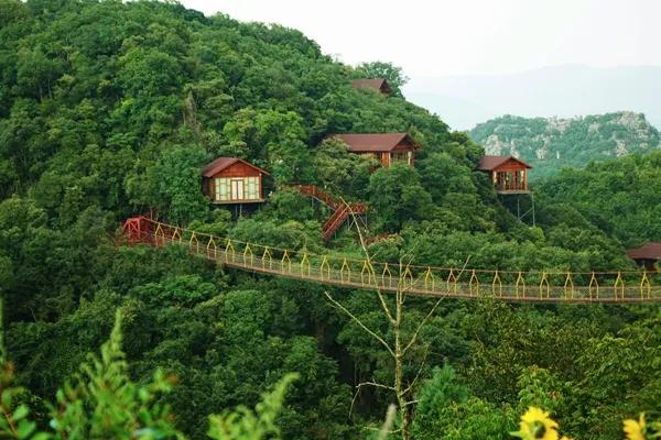 弥勒佛城在哪里,弥勒市佛城图片