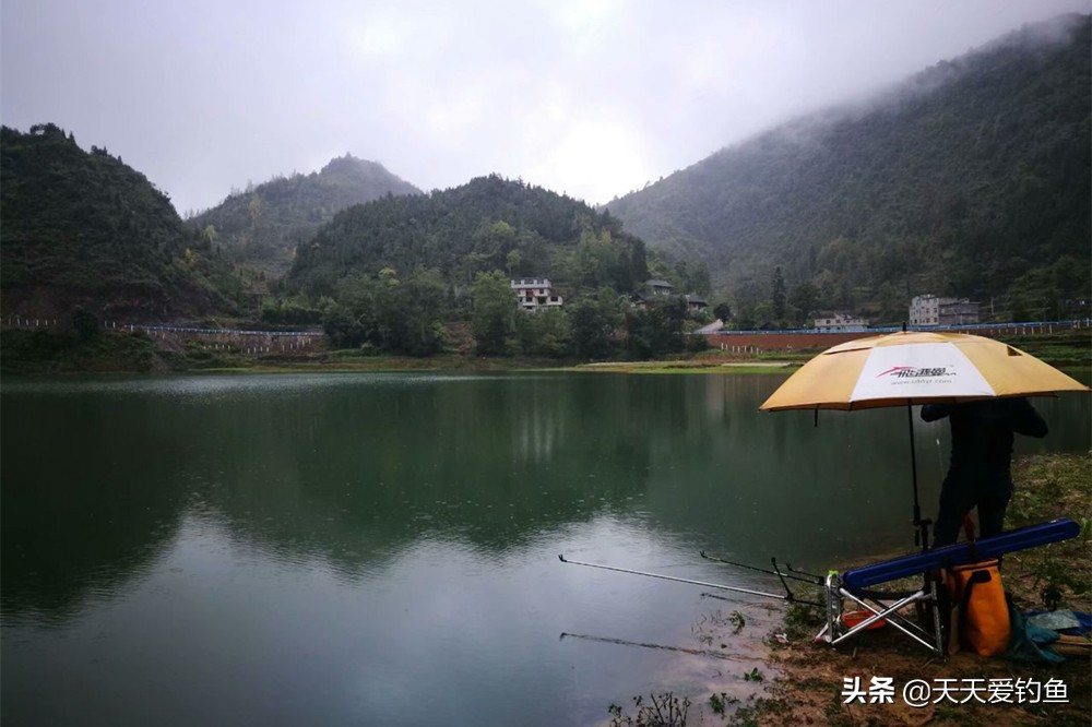 晚秋野钓天气好出钓不空,晚秋降温前钓鱼是钓深水还是浅水