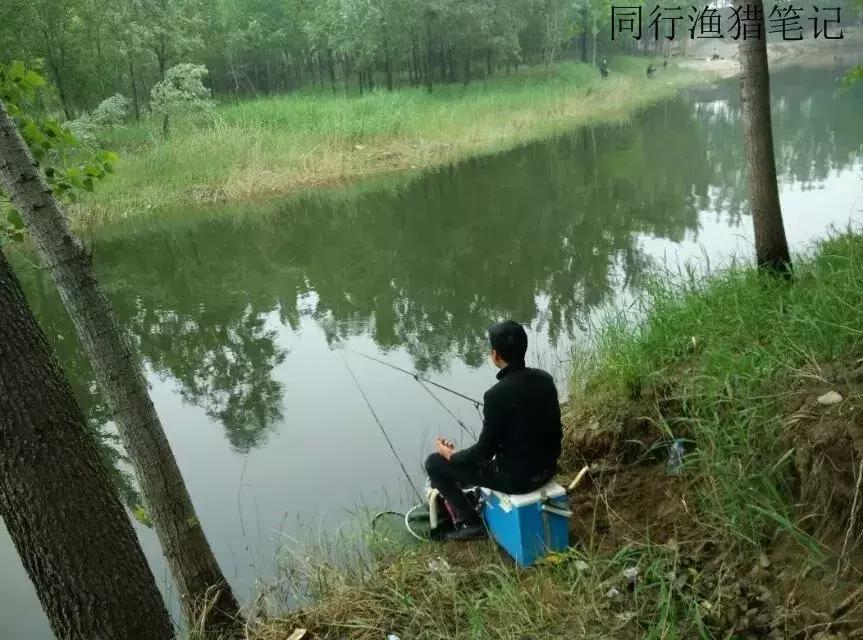 钓鱼记录2019,最新的钓鱼日记