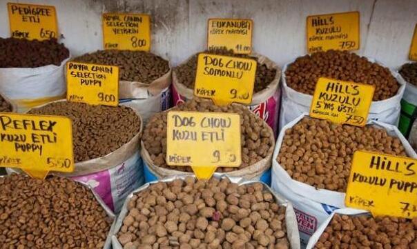 贵宾犬吃什么牌子的粮,贵宾犬吃什么狗粮合适