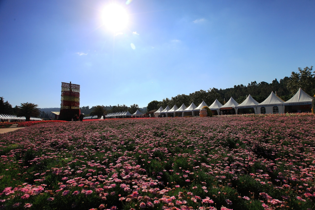 云南山歌昆明有个世博园,云南昆明世博园关闭了吗