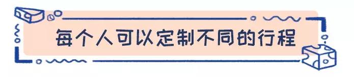 去荷兰旅行结婚,荷兰旅游新玩法视频