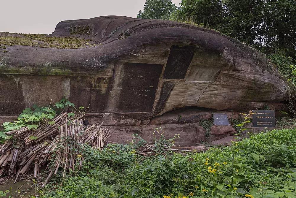 渝北枇杷正黄，冒冒失失穿越铁壁、胜保、斗碗三寨