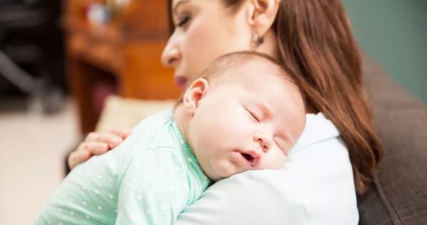 马伊琍清风计划 (清风计划马伊琍)